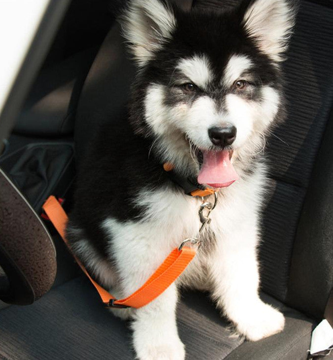 Dog Seat Belt Safety Harness