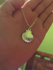 Tiny Seashell Necklace