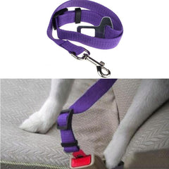 Dog Seat Belt Safety Harness
