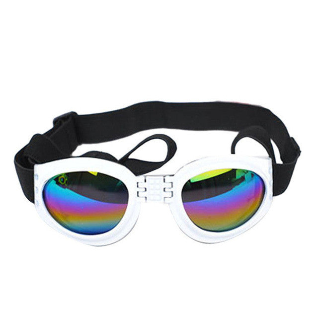 Cool Protective Dog Sunglasses